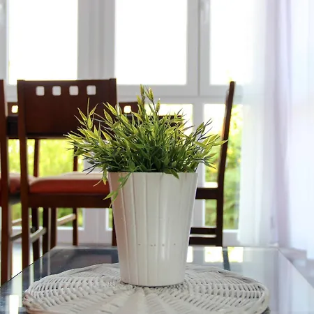 El Collado, Ruiloba * Sierra (Cantabria)